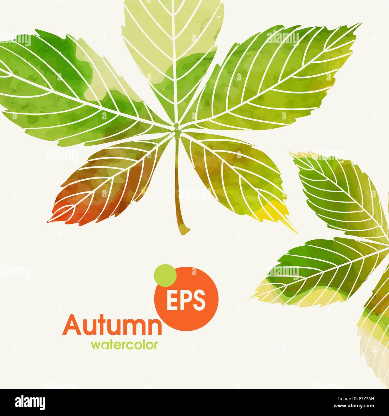 Herbst-Hintergrund mit Blättern Stock Vektor