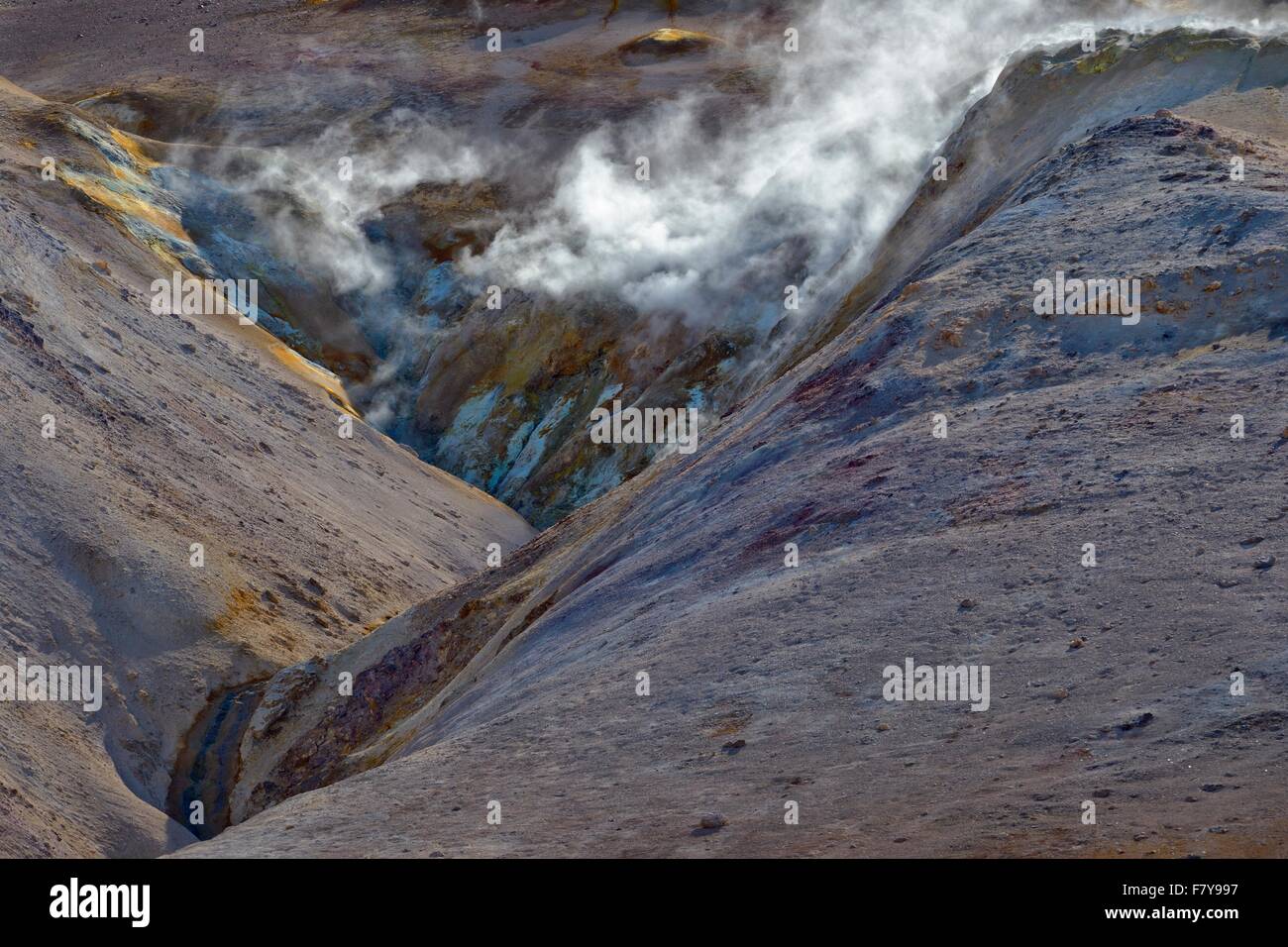 Geothermische Gebiet steigt Dampf, Namafjall, Myvatn, Island Stockfoto