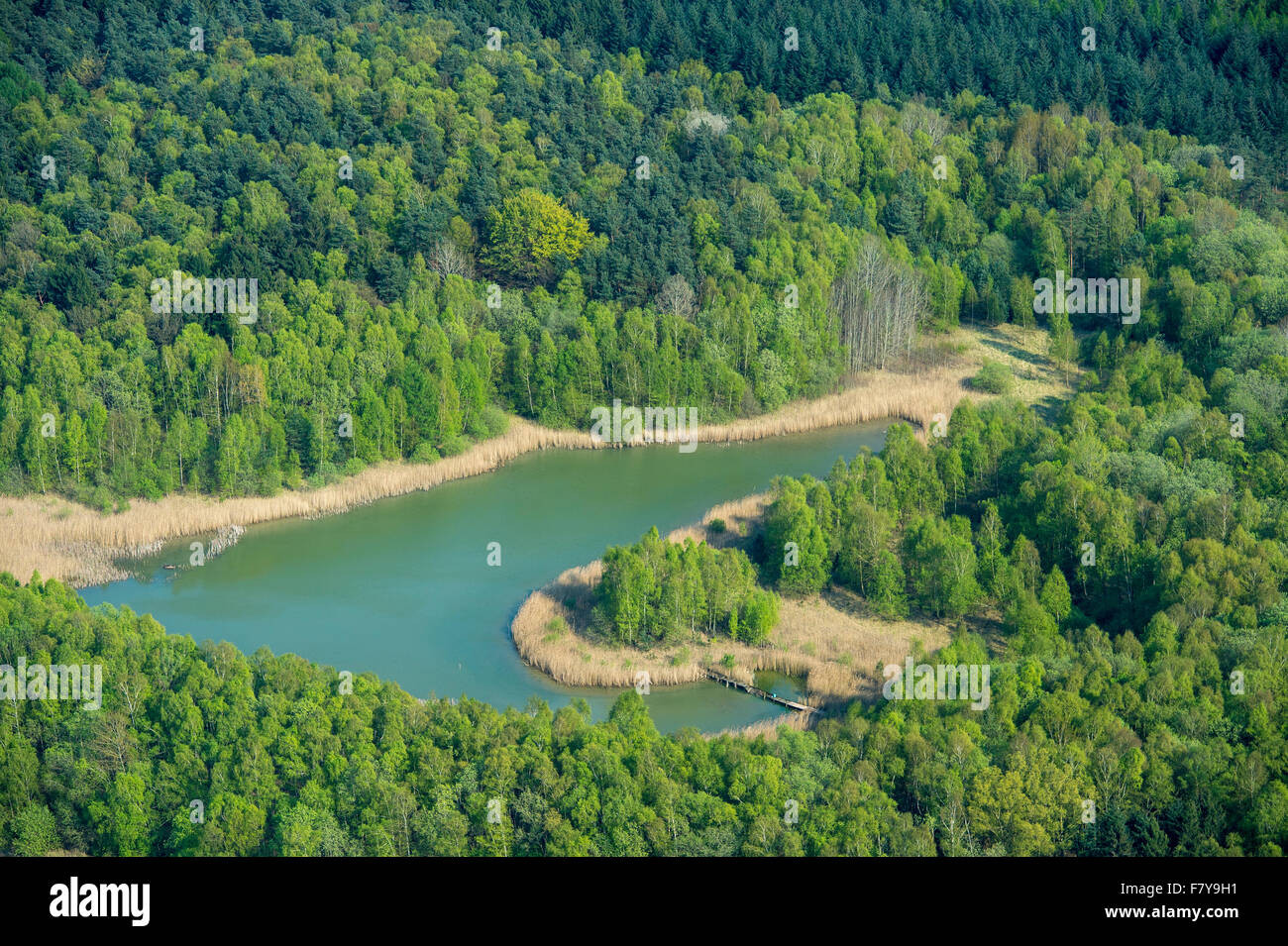 kleinen Sedimentation Teich am Dammer Bergsee in der Nähe von Damme (Dümmer) von oben, Landkreis Vechta, Niedersachsen, Deutschland Stockfoto