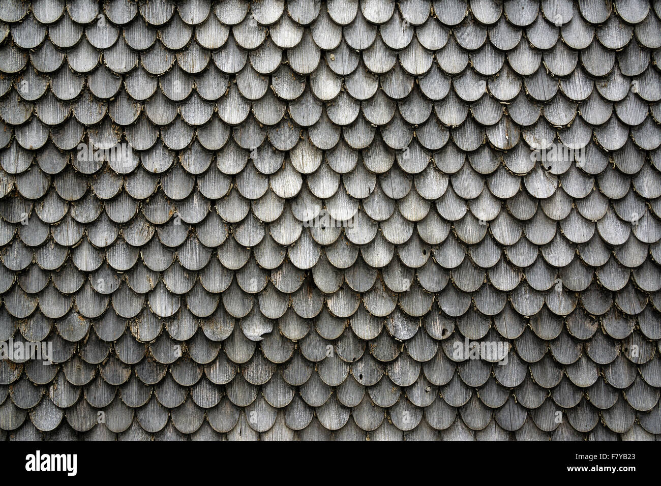 Alte hölzerne Schindeln auf einem Bauernhof, Winkel in der Nähe von Sonthofen, Allgäu, Bayern, Deutschland Stockfoto