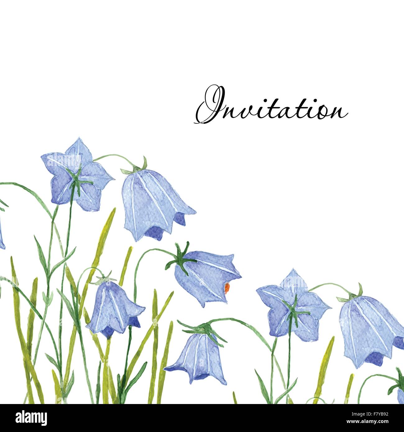 Bluebell Blumen. Gruß oder Einladung Vektor-Karte.  Handgezeichnete Aquarel Abbildung. Stock Vektor