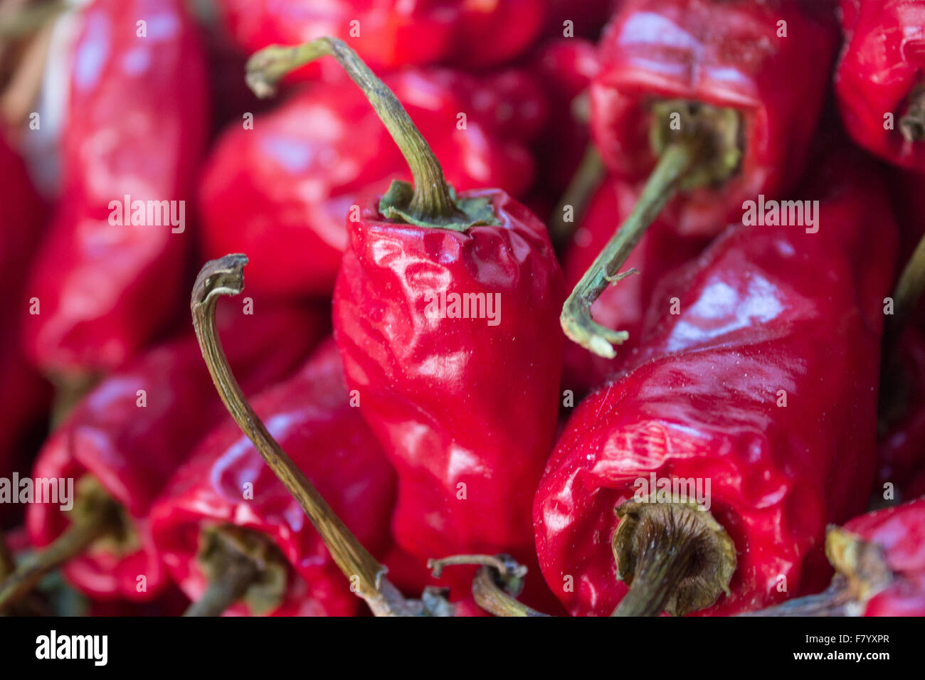 kleine rote Paprika / Chili Pfeffer Makro Stockfoto