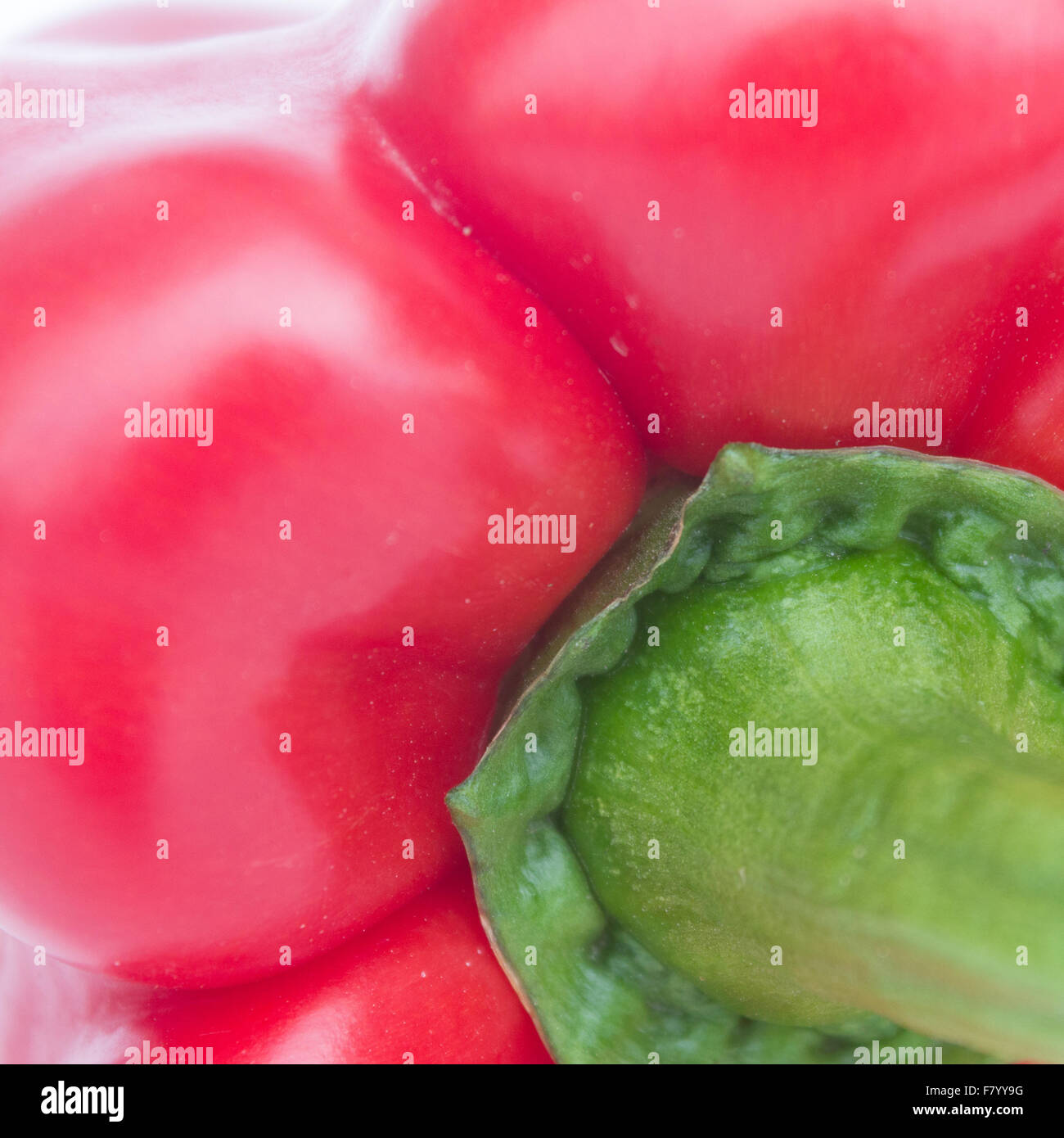 Paprika-Closeup / Capsicum / Paprika / Paprika Detail Stockfoto