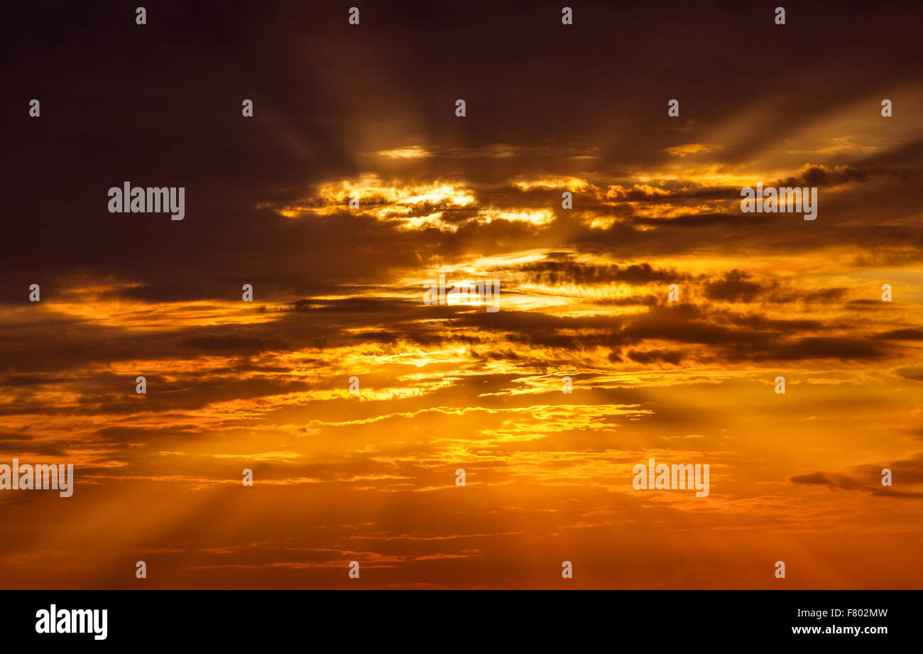 Große Sonne. Natur-Komposition. Stockfoto