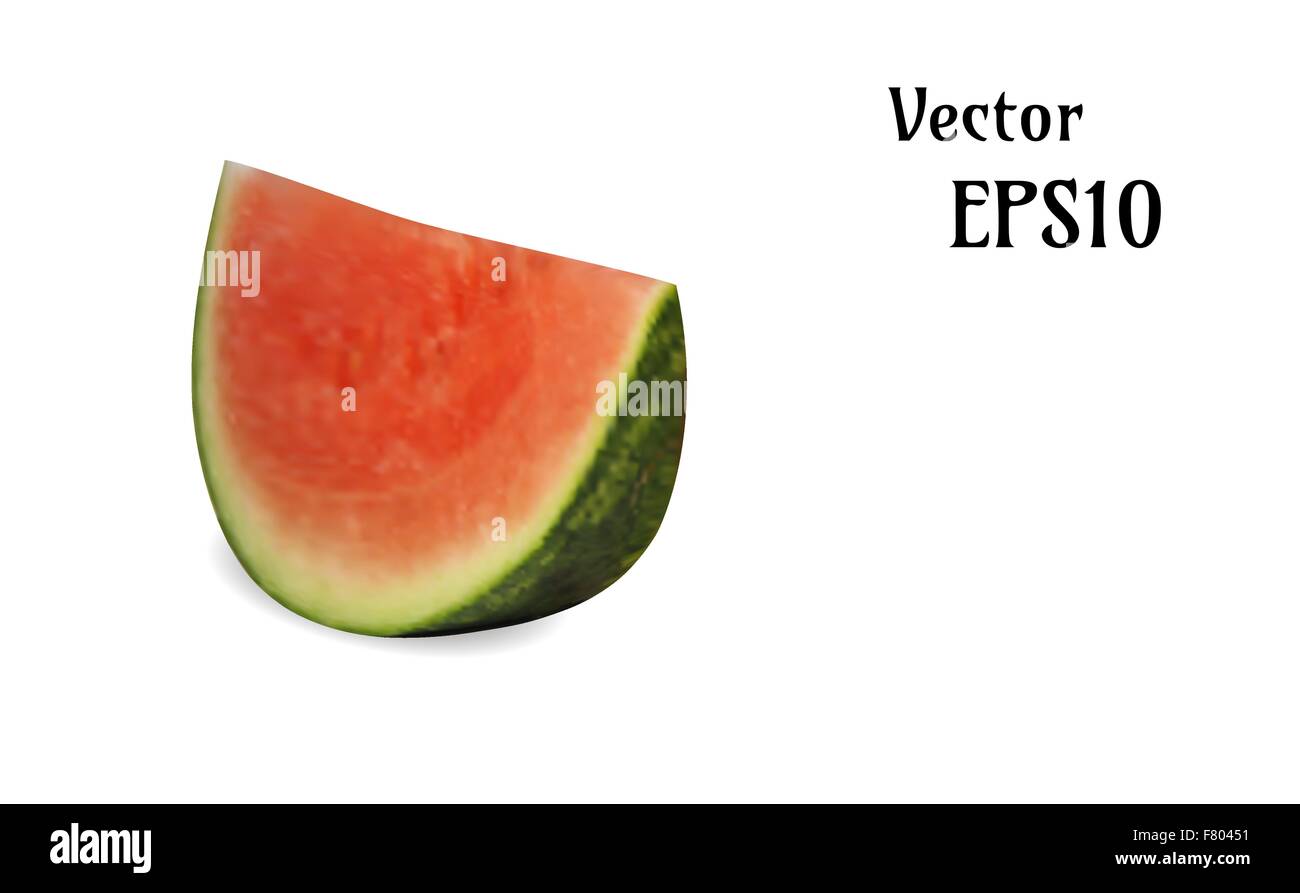 realistische Melone Illustration, Vektor Stock Vektor