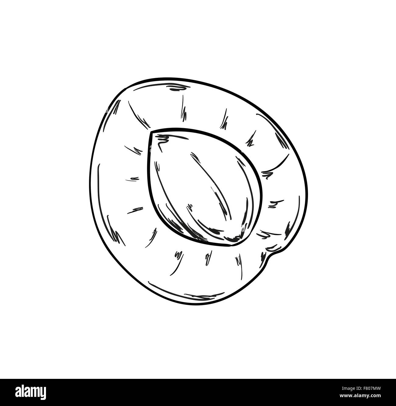 Aprikose Skizze Stock Vektor