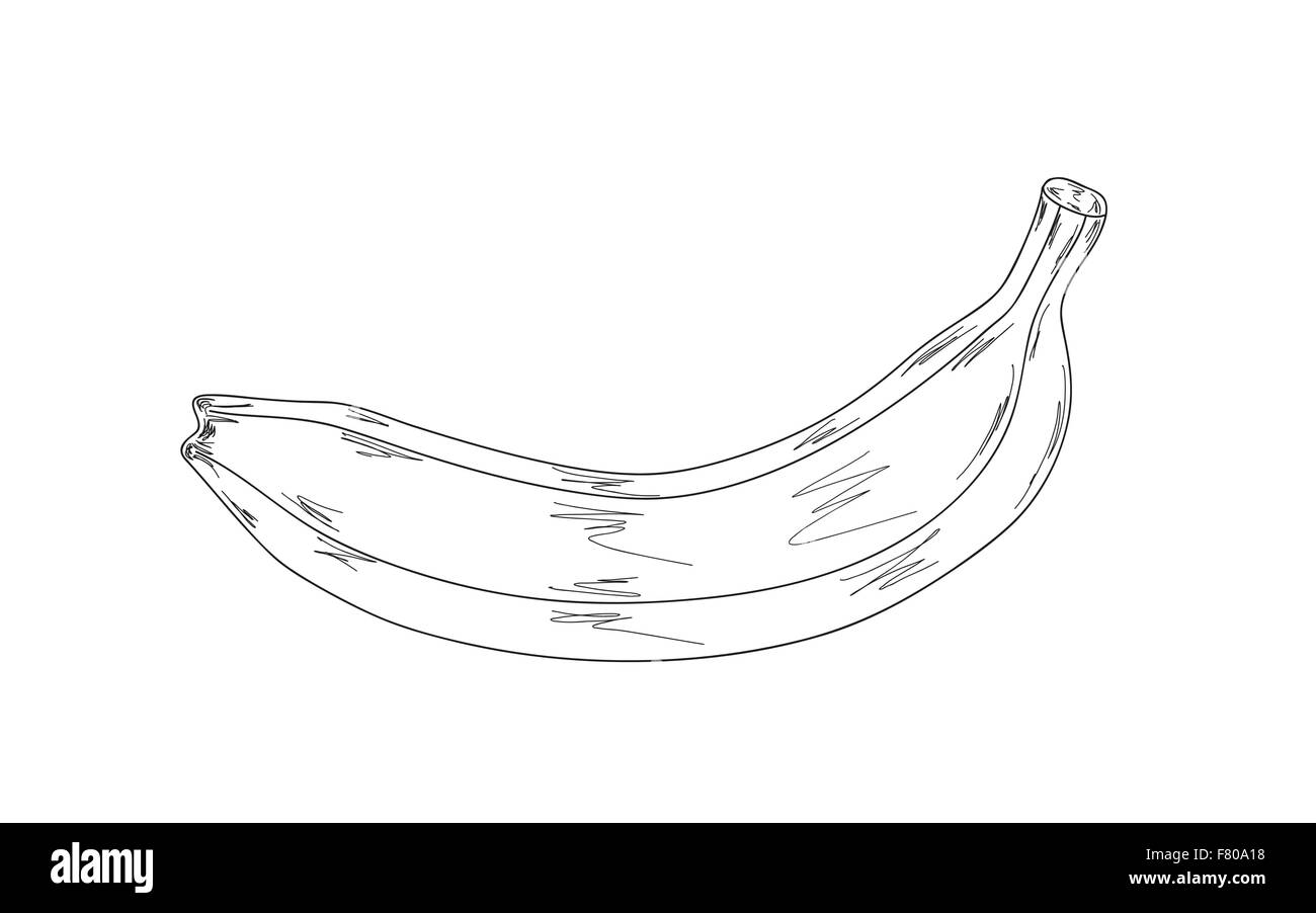 Banane, Skizze Stock Vektor