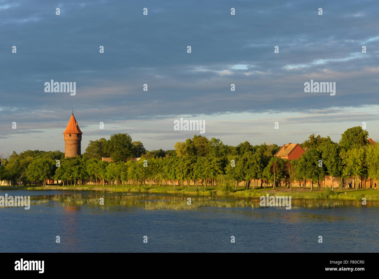 Blick über den Fluss Nogat, Malbork, Pommern, Polen Stockfoto