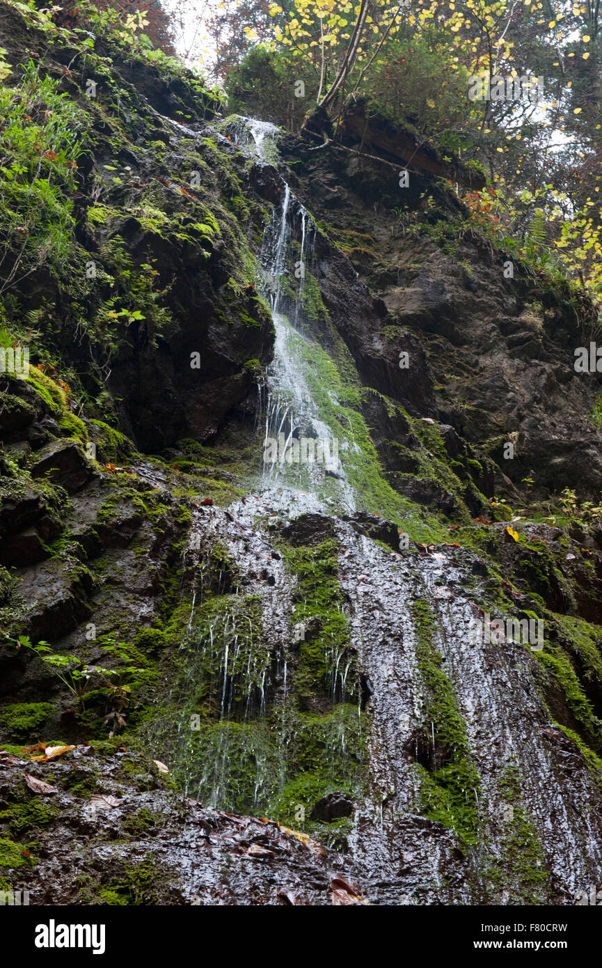 Wasserfall in Lotenbachklamm, Südschwarzwald, Baden-Württemberg, Deutschland Stockfoto