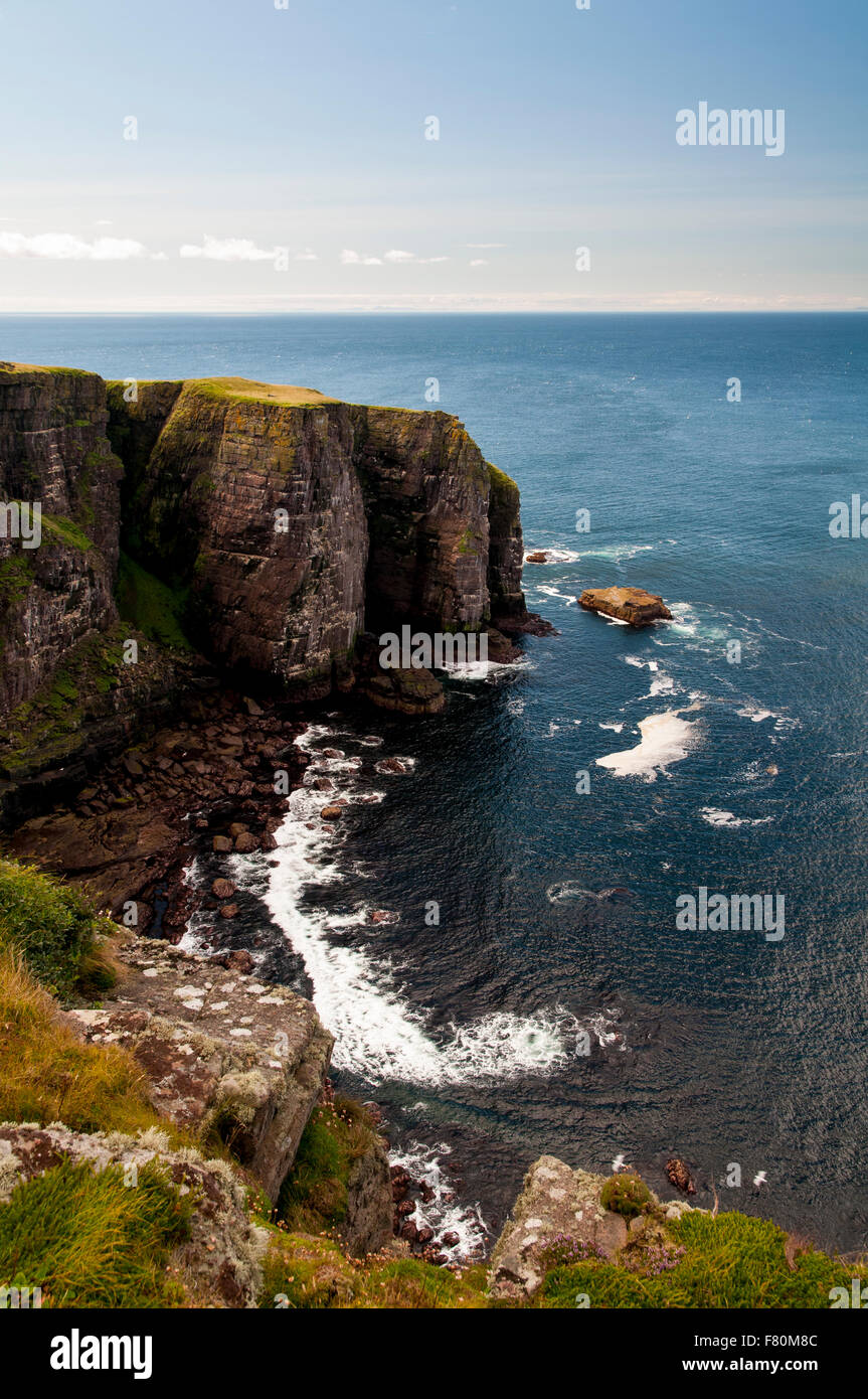 Ein Blick auf die Klippen im Nordwesten der Insel Handa, Sutherland, Schottland. August. Stockfoto