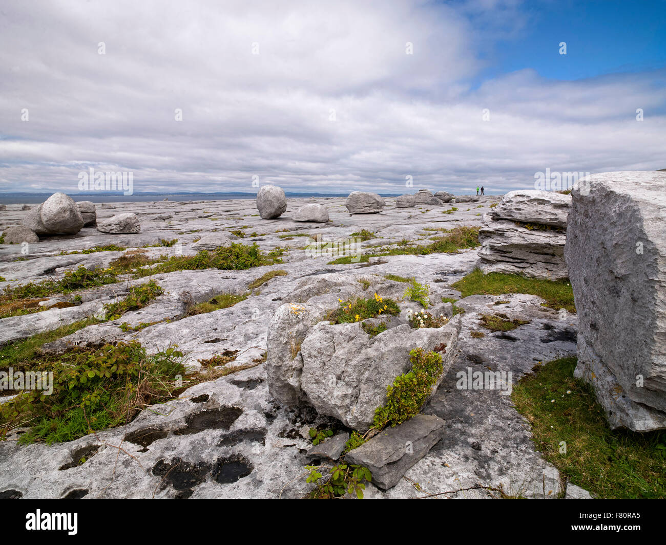 Schwarzer Kopf, The Burren, County Clare, Irland, der Wilde Atlantik Weg Stockfoto