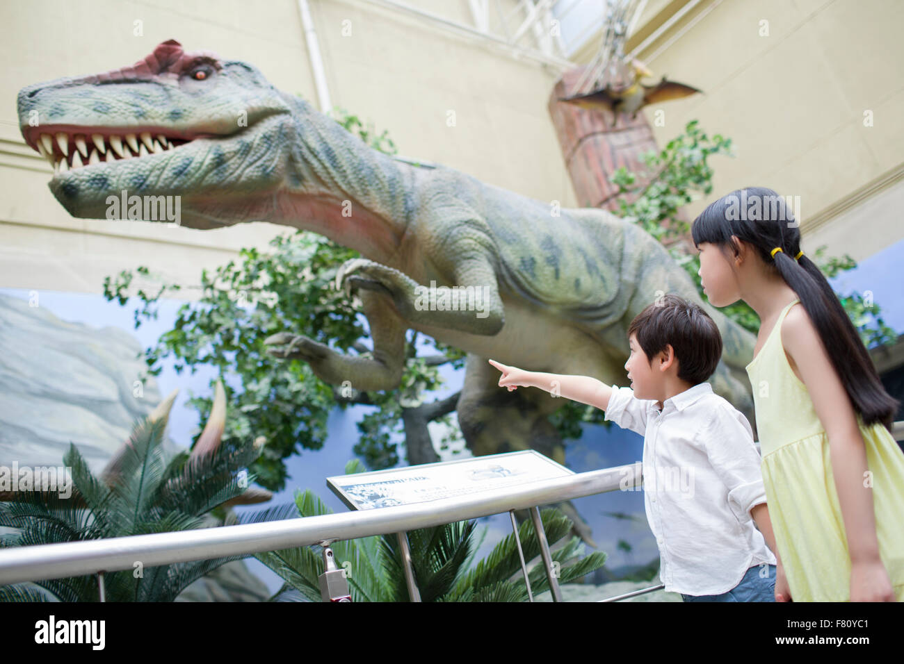 Kinder im Museum of Natural history Stockfoto