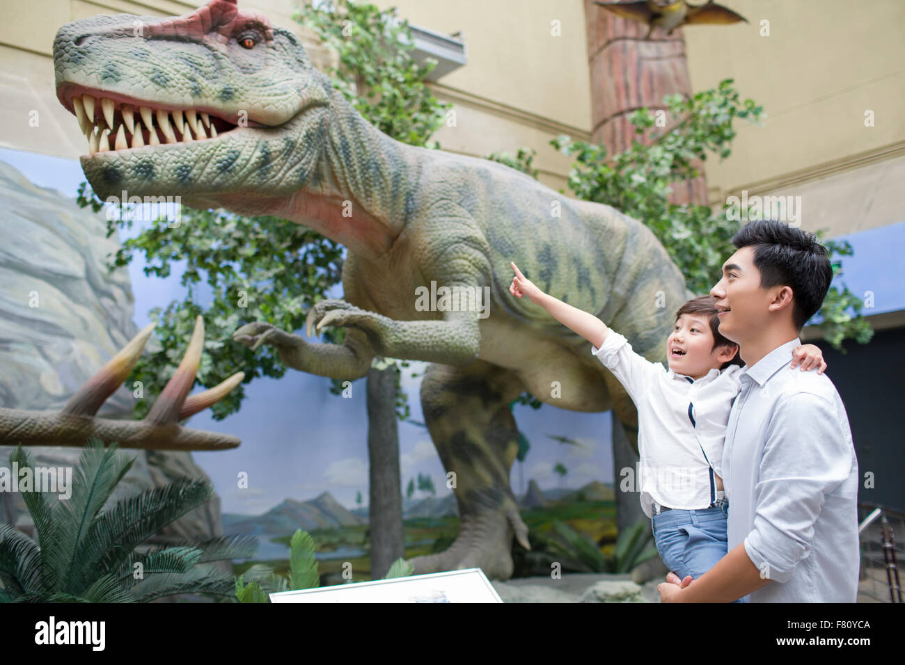 Junger Vater und Sohn im Museum of Natural history Stockfoto