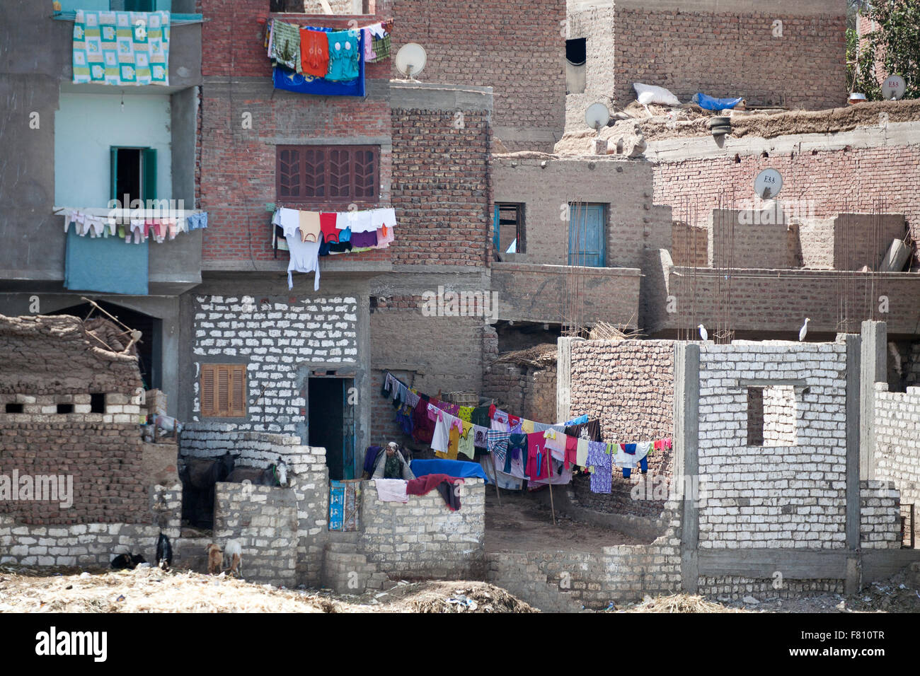 Szenen an den Ufern des Nil in Mittelägypten. Stockfoto