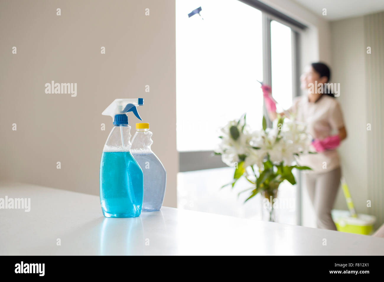 Hausangestellte, die Reinigung der Fenster Stockfoto