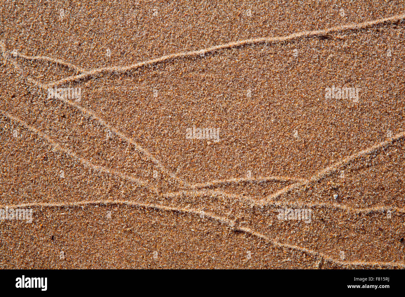 Lake Superior Strand Sand, Bete Grise zu bewahren, Keweenaw County, Michigan, USA Stockfoto