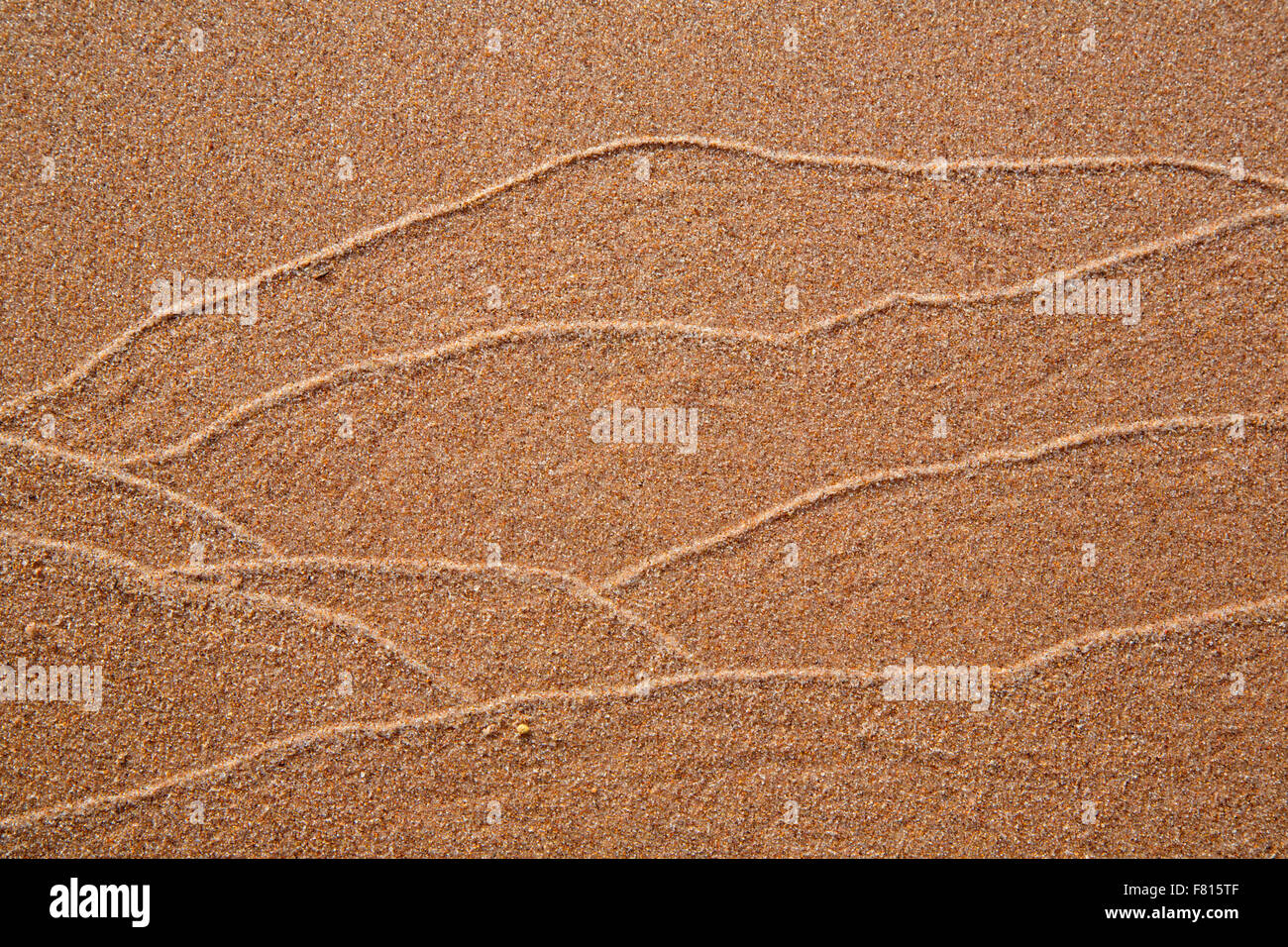 Lake Superior Strand Sand, Bete Grise zu bewahren, Keweenaw County, Michigan, USA Stockfoto