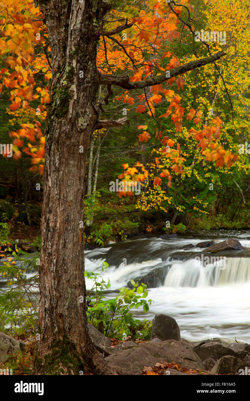 Nahen Zweig Ontonagon Fluß, Bond fällt malerischen Ort, Michigan Stockfoto