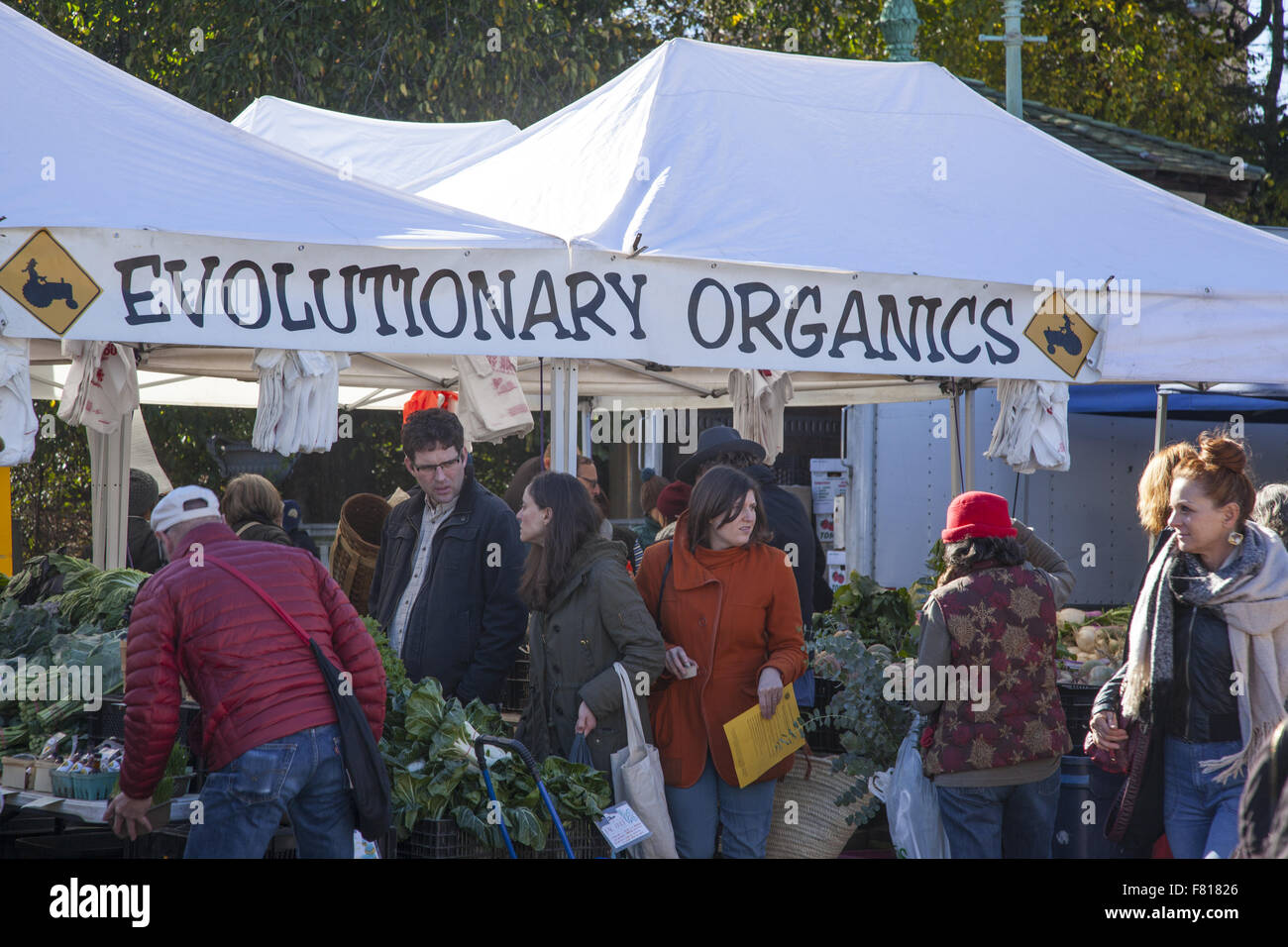 Menschen beim Einkaufen im November an der Grand Army Plaza Farmers Market in Park Slope, Brooklyn, NY. Stockfoto