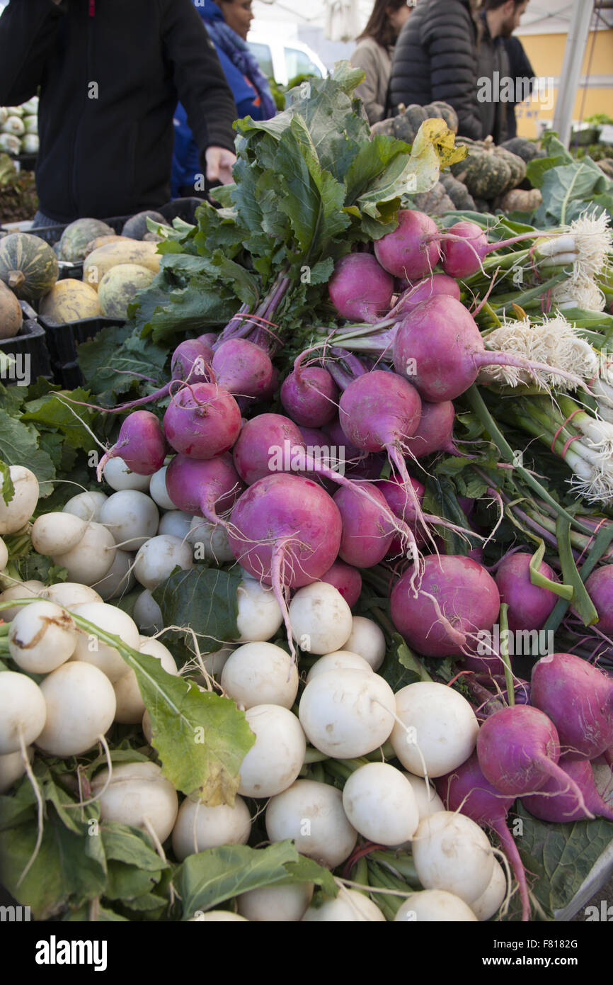 Große schöne rote und weiße Radieschen zum Verkauf an der Grand Army Plaza Farmers Market in Brooklyn, New York. Stockfoto