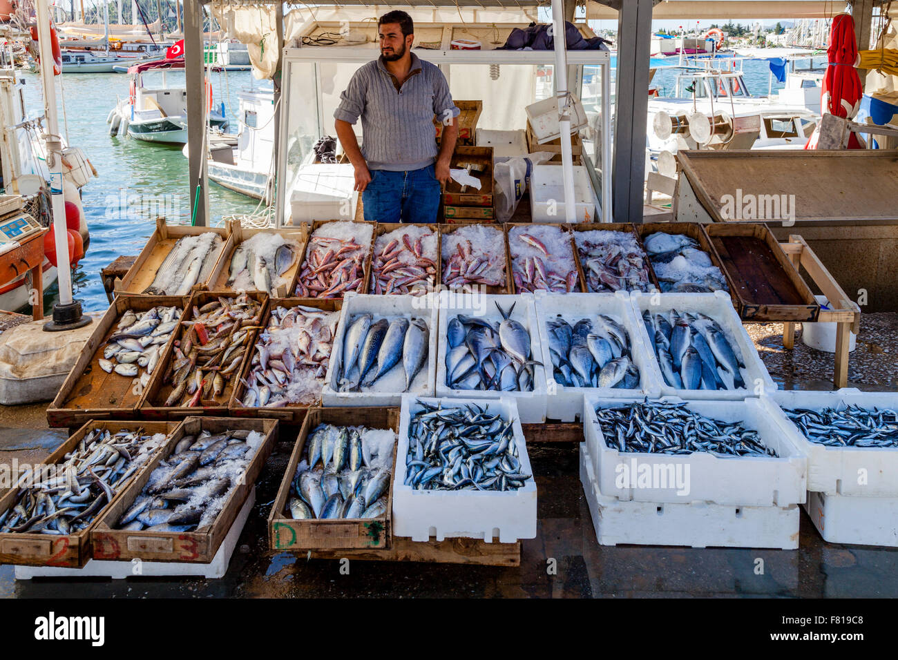Frischen Fisch zu verkaufen, die Marina, Bodrum, Provinz Mugla, Türkei Stockfoto