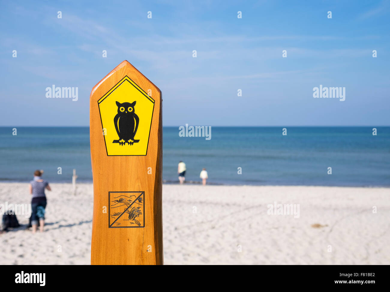 Eule als Symbol des Nationalparks, Weststrand an der Ostsee geboren bin, Darß, Fischland-Darß-Zingst, Vorpommern Stockfoto