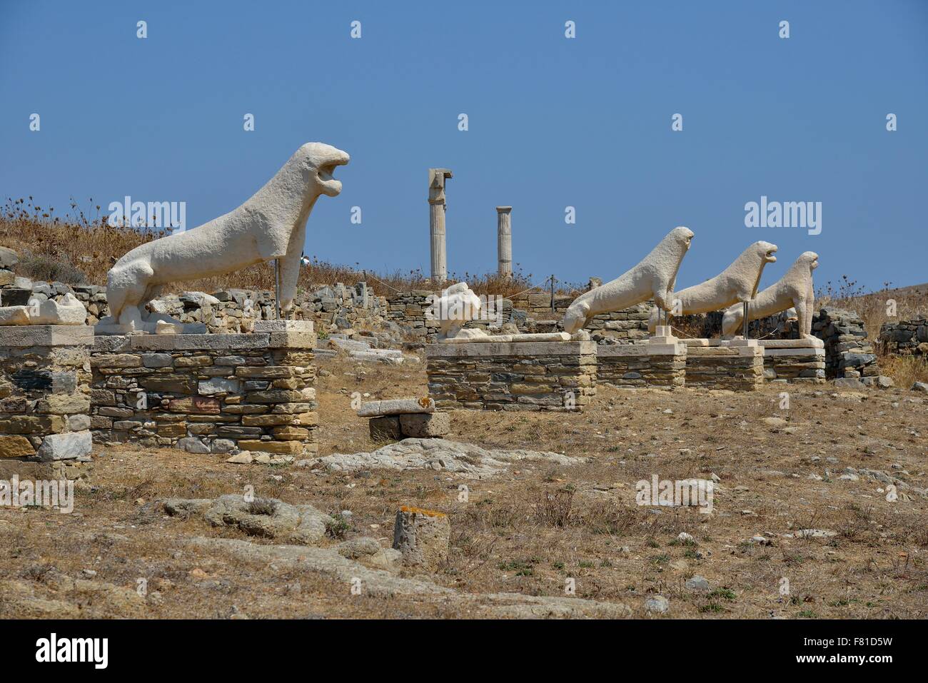 Marmor Löwe auf der Lion-Terrasse, antike Stätte, Delos, UNESCO-Weltkulturerbe, Kykladen, Griechenland Stockfoto