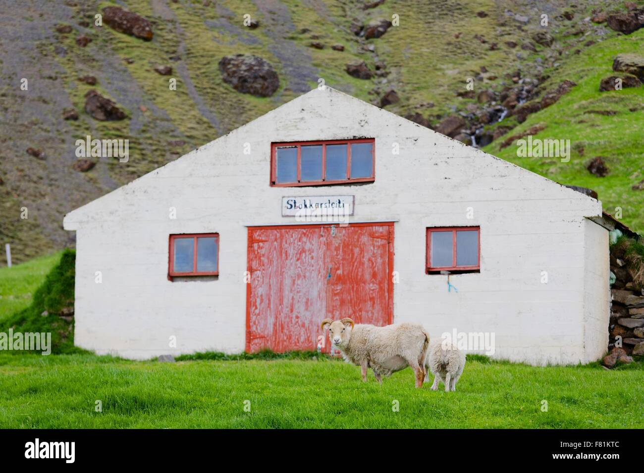 Rustikale Wirtschaftsgebäude im Süden Islands Stockfoto