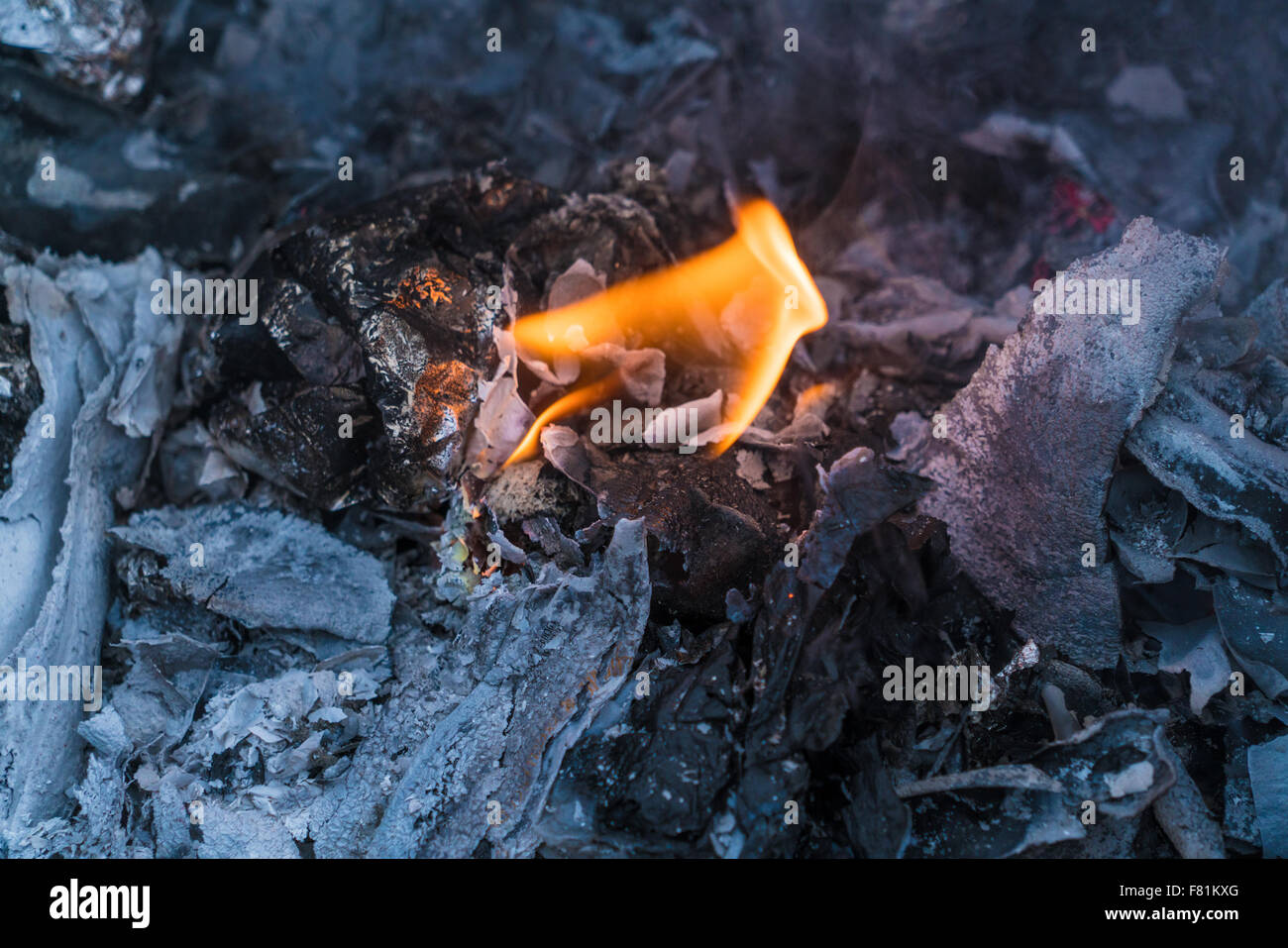 Müll-Feuer in Stahl-Lauf Stockfoto