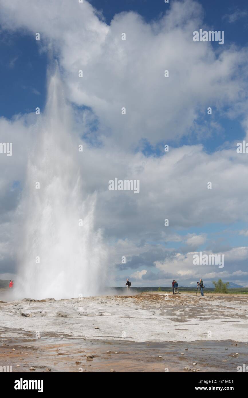 Geysir-Geysir ausbrechen in den Golden Circle, Island Stockfoto