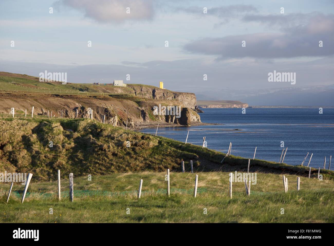 Wunderschöne Küste in Island Stockfoto