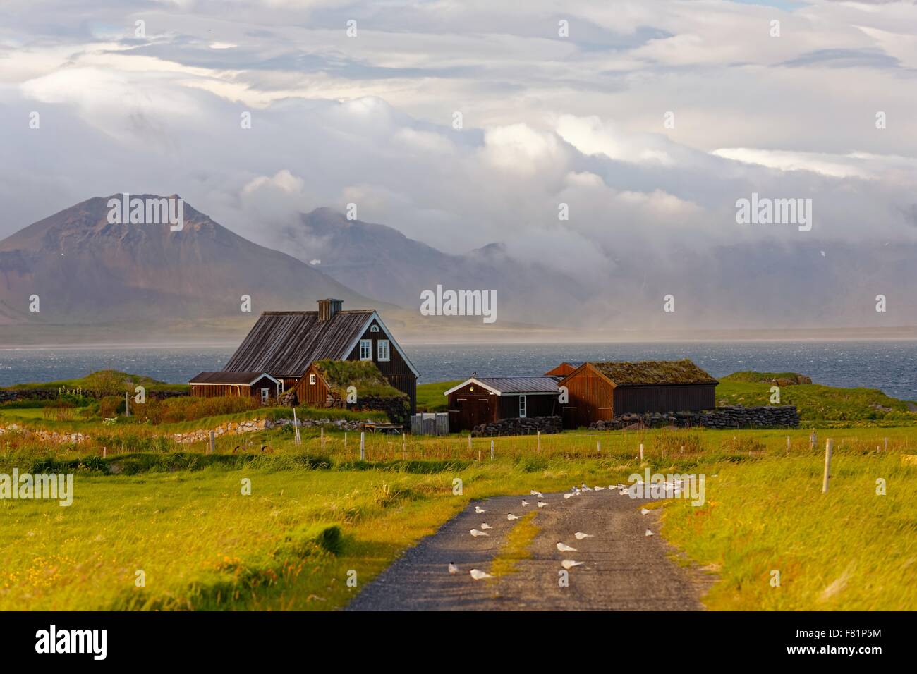 Schöne Ferienhäuser in Arnarstapi, Island schöne Ferienhäuser in Arnarstapi, Island Stockfoto