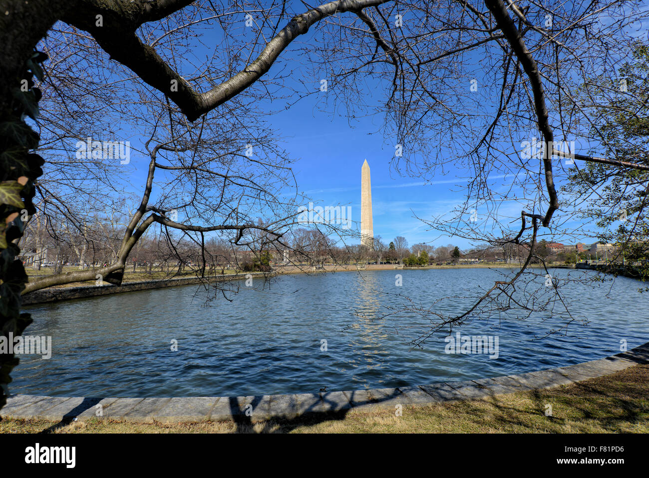 Washington Monument in Washington D.C., USA Stockfoto
