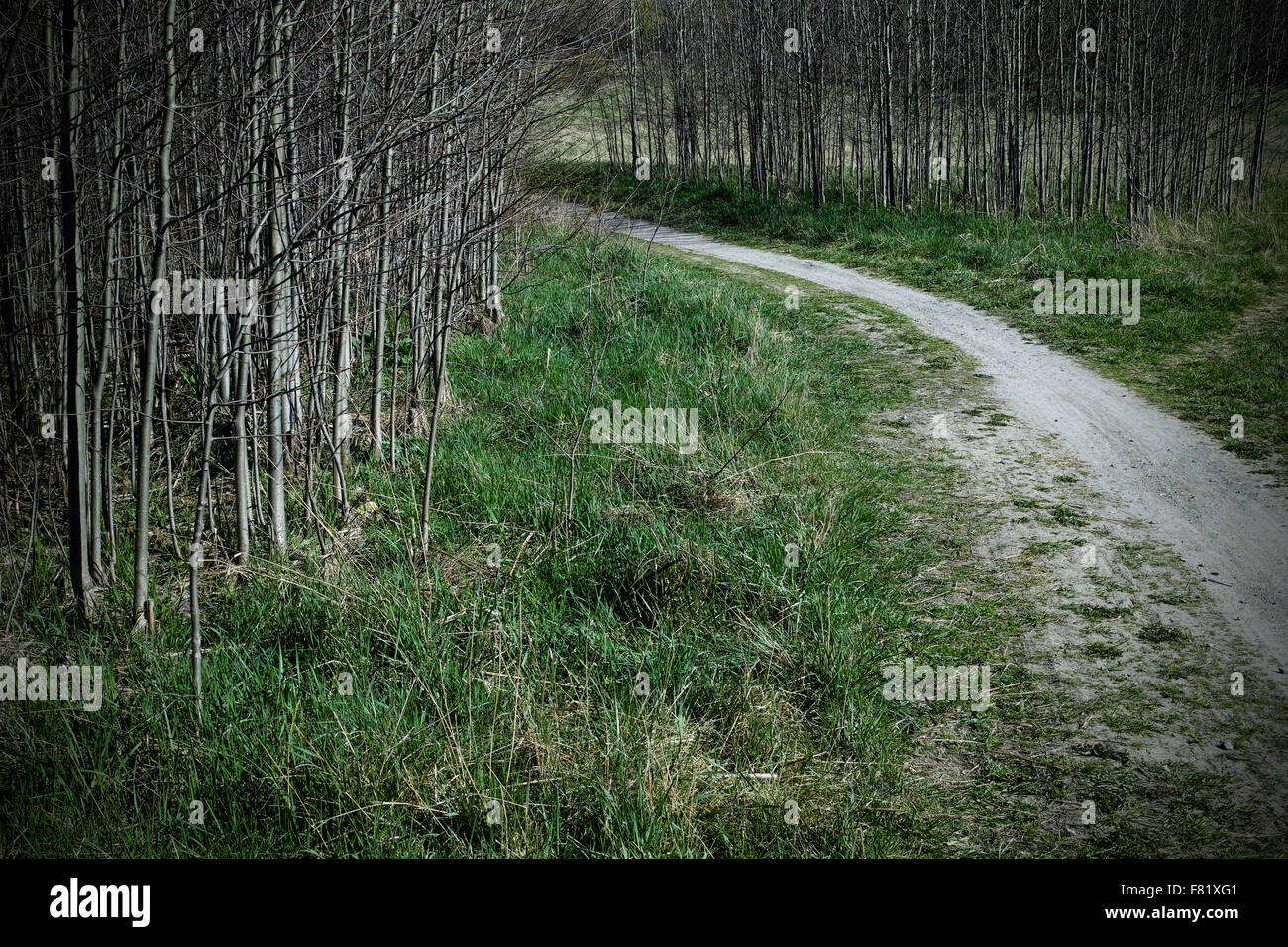 Einspurige Straße Stockfoto