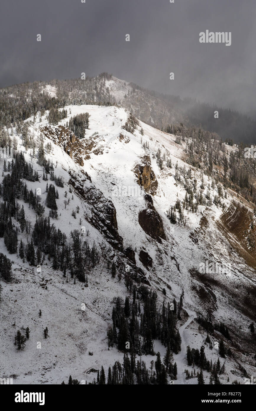 Frühwinter Sturm fallen erste Schnee der Saison im Jackson Hole Mountain Resort, Wyoming Stockfoto