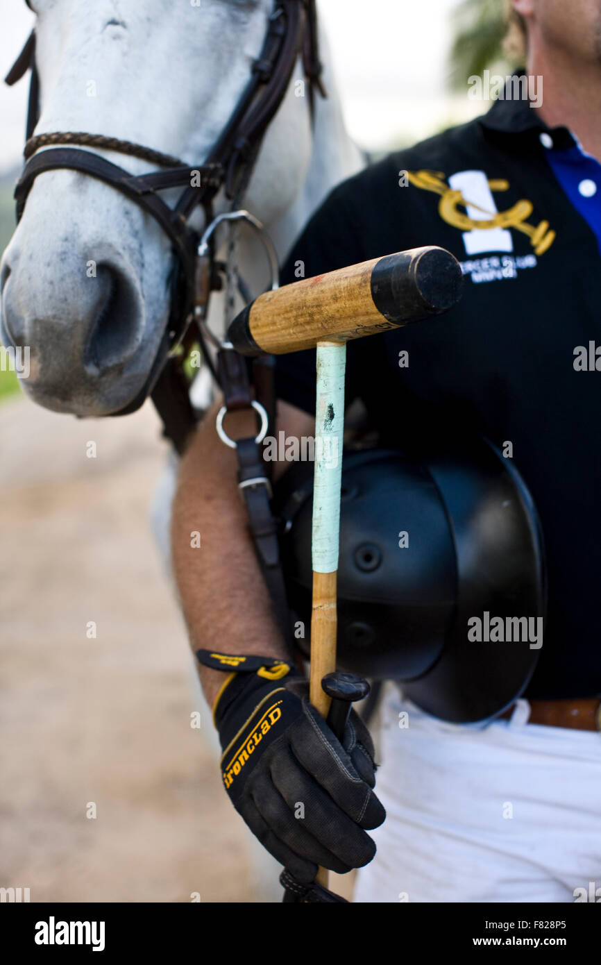 Polospieler und Pferd Stockfoto