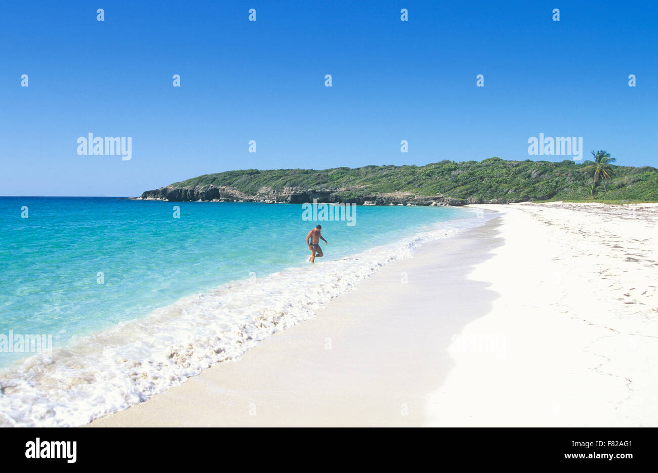 Medea Luna Beach, Vieques Island, Puerto Rico. Stockfoto