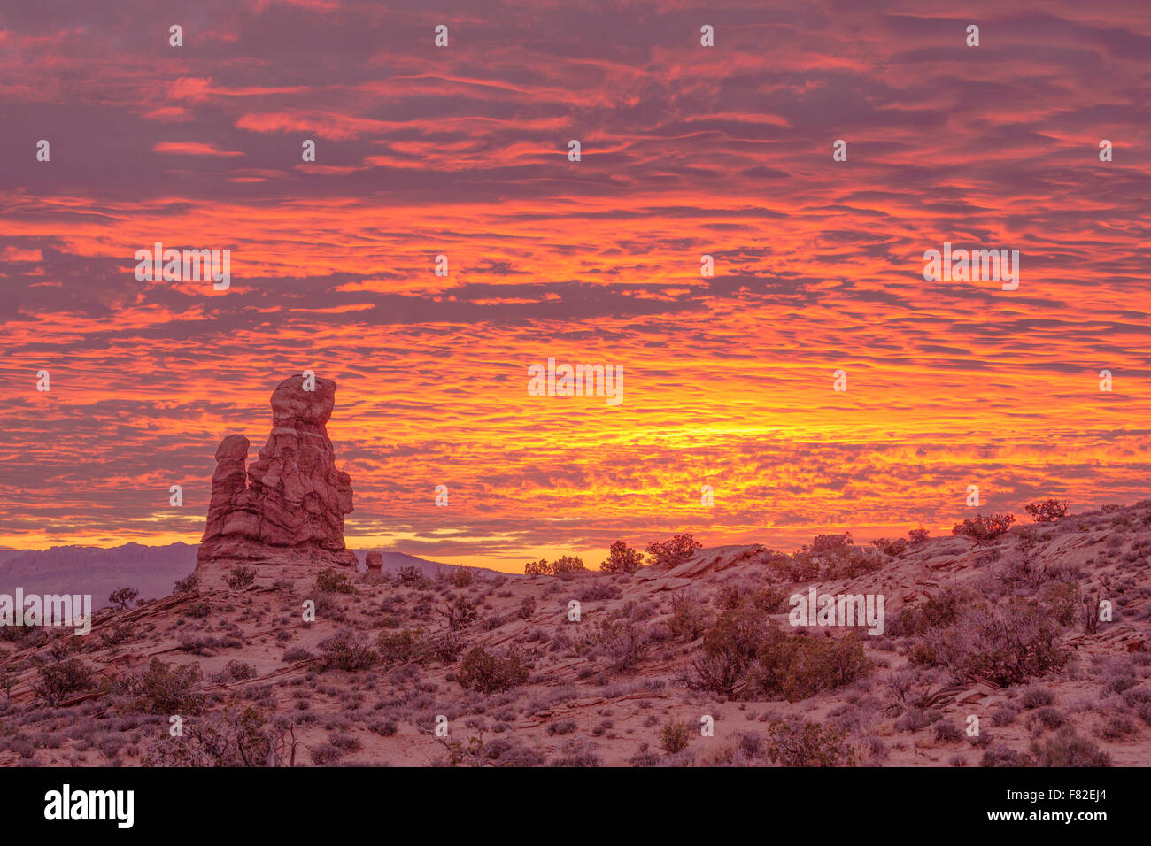 Sonnenuntergang in der Nähe von Garten von Eden, Arches-Nationalpark, Utah, Colorado River, Moab, Utah, Entrada Sandstein Stockfoto