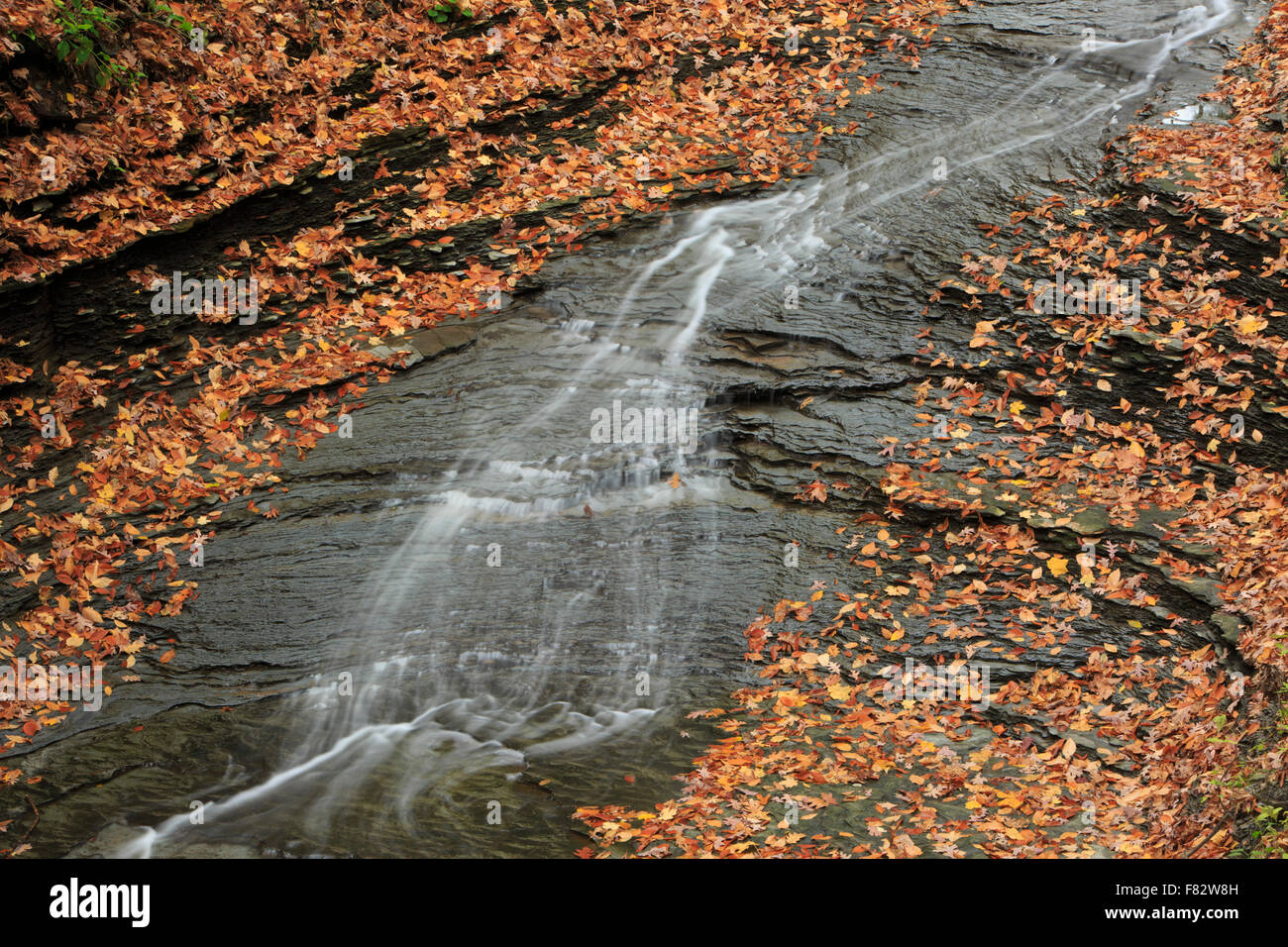 Braut Schleier fällt im Herbst, Bedford Reservierung, Cleveland, Ohio, in der Nähe von Cuyahoga Valley National PArk Stockfoto
