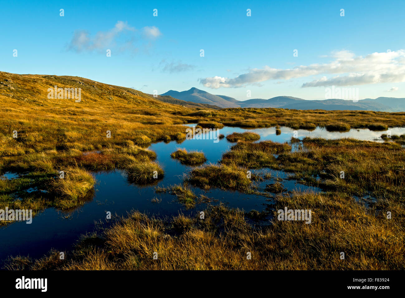 A' Chioch und Ben More aus den westlichen Hängen der Beinn Bhuidhe, Isle of Mull, Argyll and Bute, Scotland, UK. Stockfoto