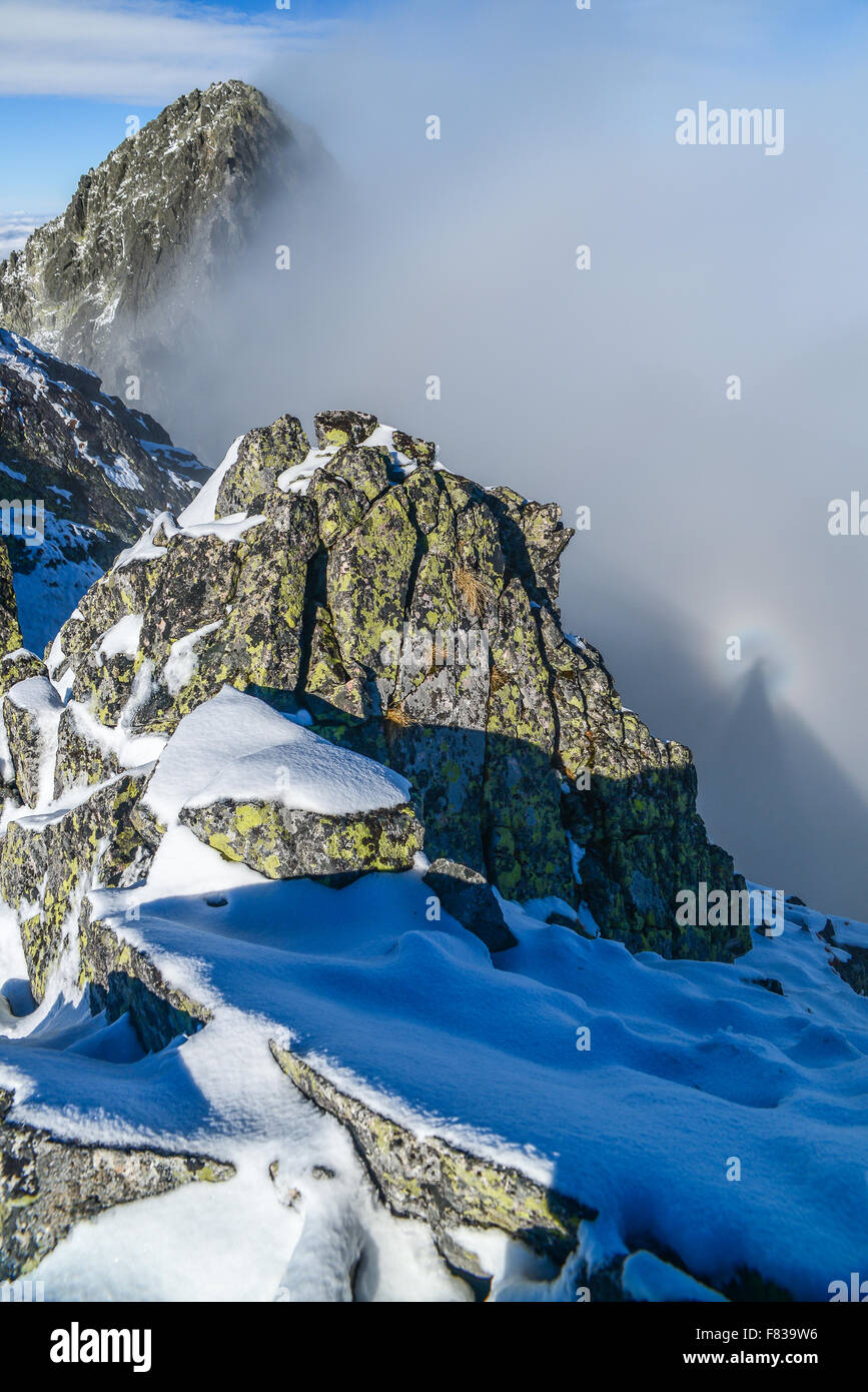 Brocken Gespenst im Tatra-Gebirge über Wolken - Panorama Stockfoto