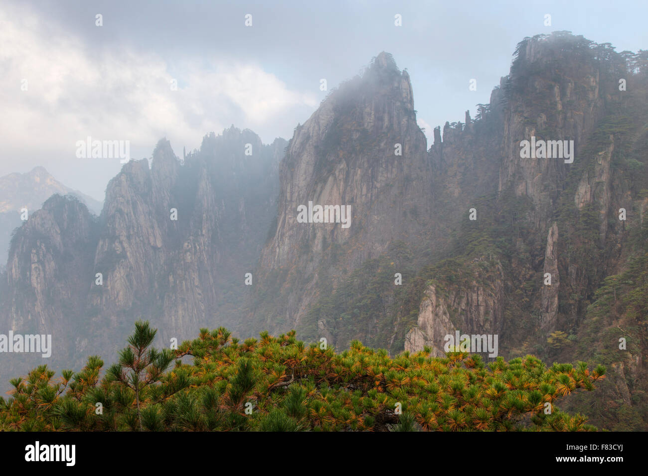 Gelb-Berge (Huangshan) Provinz Anhui China LA008565 Stockfoto