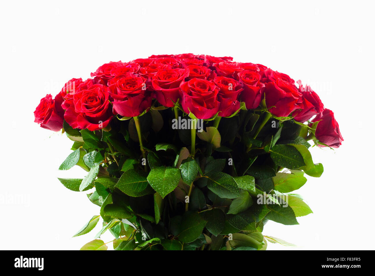 Strauß roter Rosen - Isolated on White Stockfoto