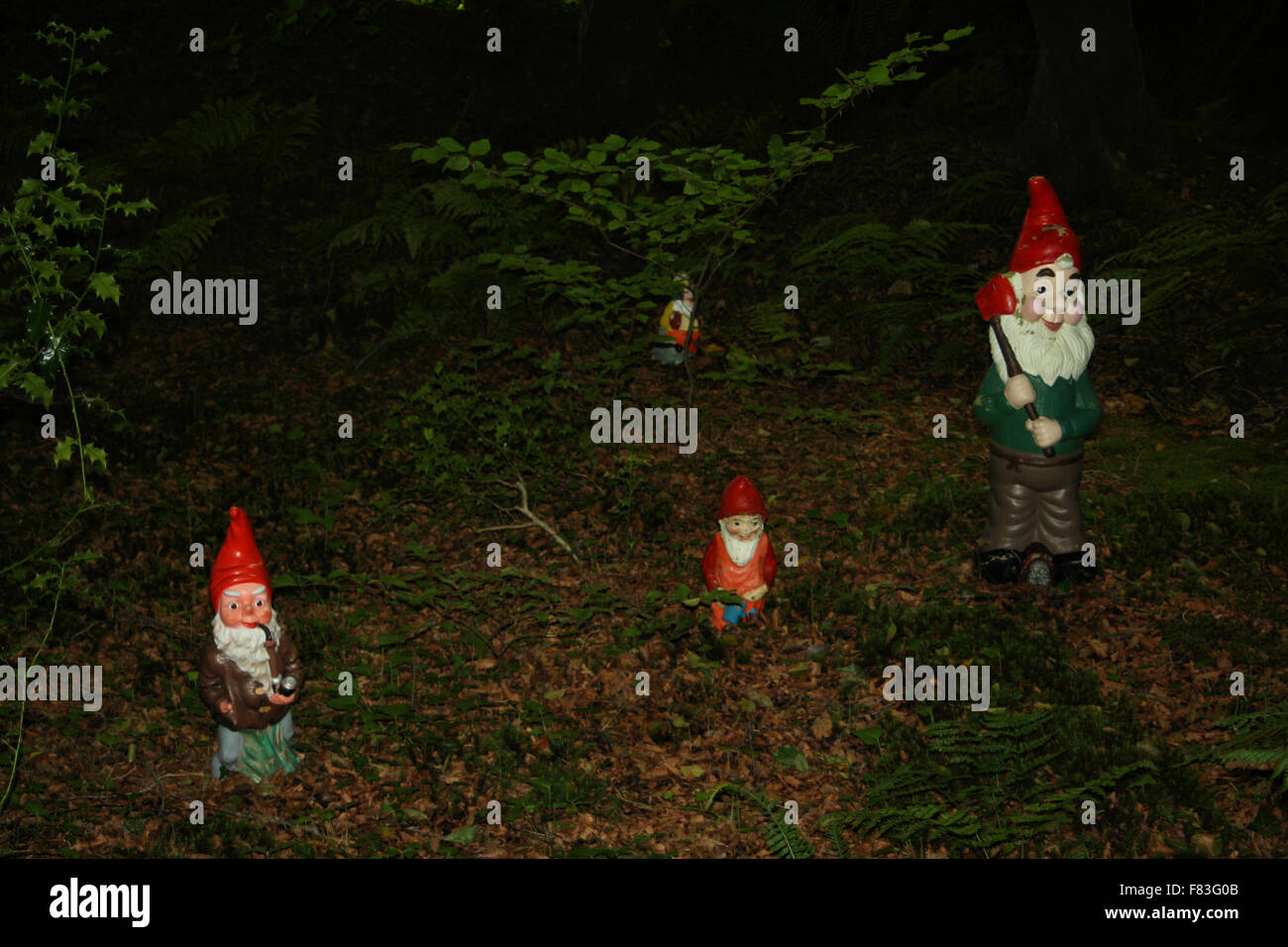 GNOME-Reserve und Wildblumen Garten West Putford in der Nähe von Bradworthy North Devon Stockfoto