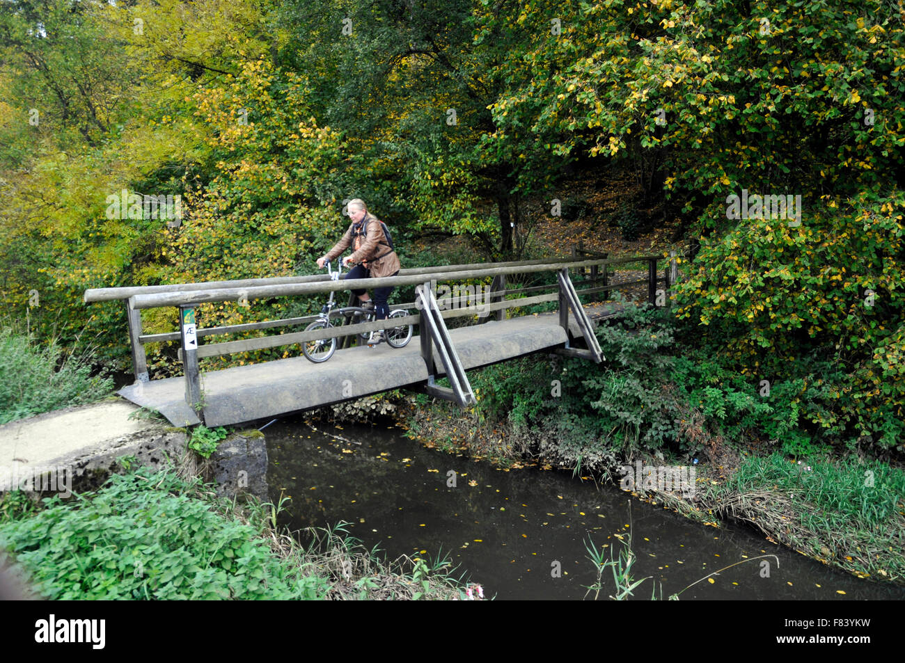 Frau mit Fahrrad auf Holzbrücke Lieser Tal in der Nähe von Manderscheid in der Eifel Rheinland-Pfalz Deutschland Europa Stockfoto