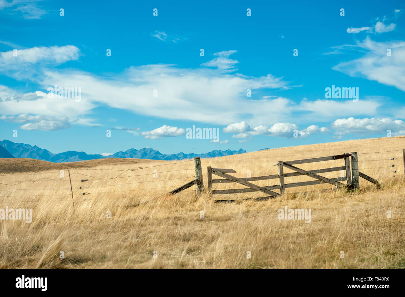 Zerbrochene Tor im Mackenzie Country, Südinsel, Neuseeland Stockfoto