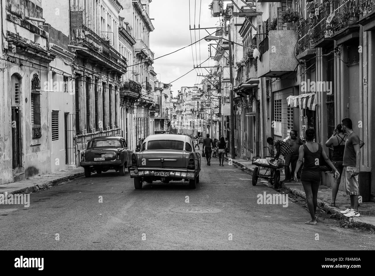 Mono mit den Details hohe & niedrig im Centro Havanna, Kuba. Stockfoto