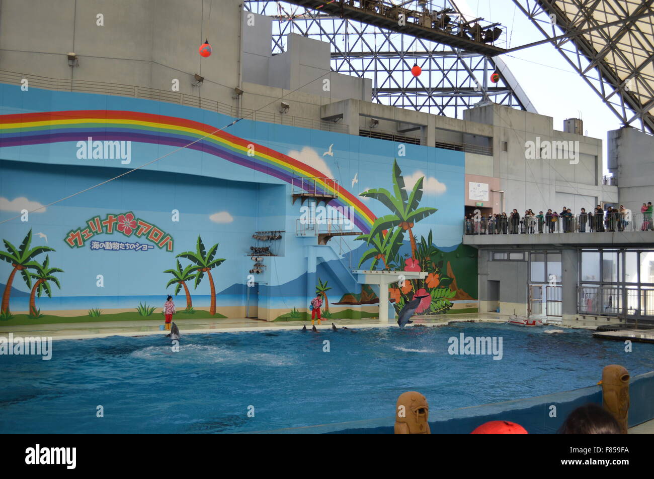 Okinawa churaumi aquarium Fotos und Bildmaterial in hoher Auflösung