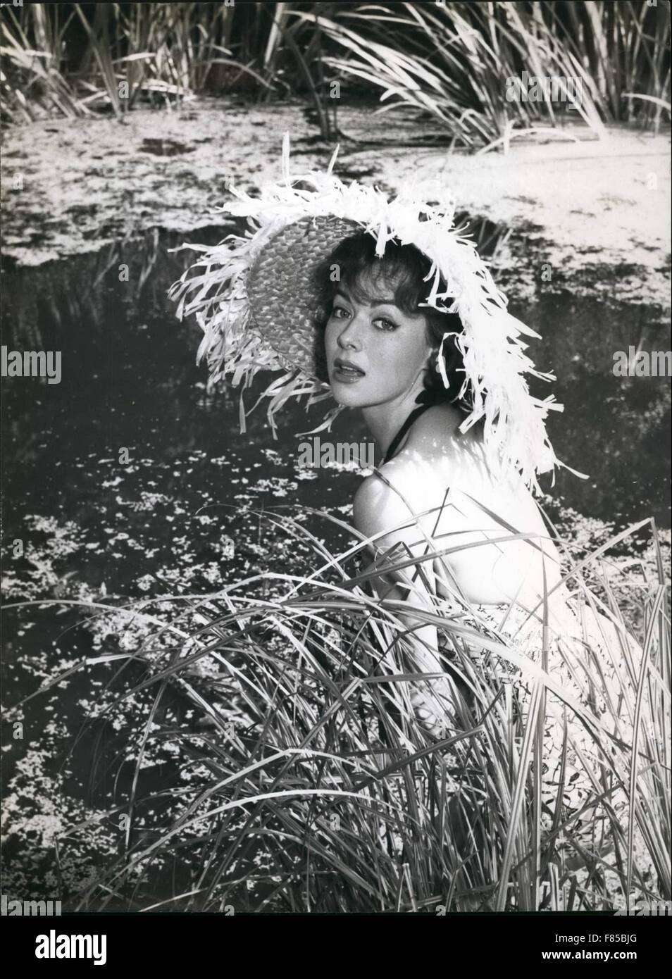 Beth rogan -Fotos und -Bildmaterial in hoher Auflösung – Alamy
