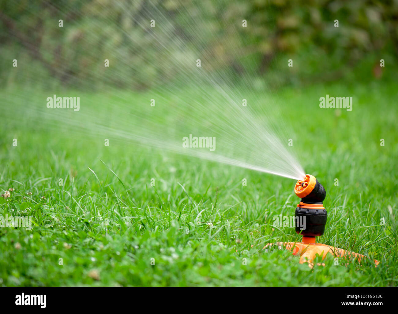Sprinkler gartenarbeit Fotos und Bildmaterial in hoher Auflösung Alamy